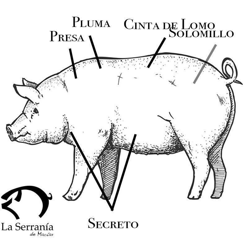 carnes ibéricas frescas