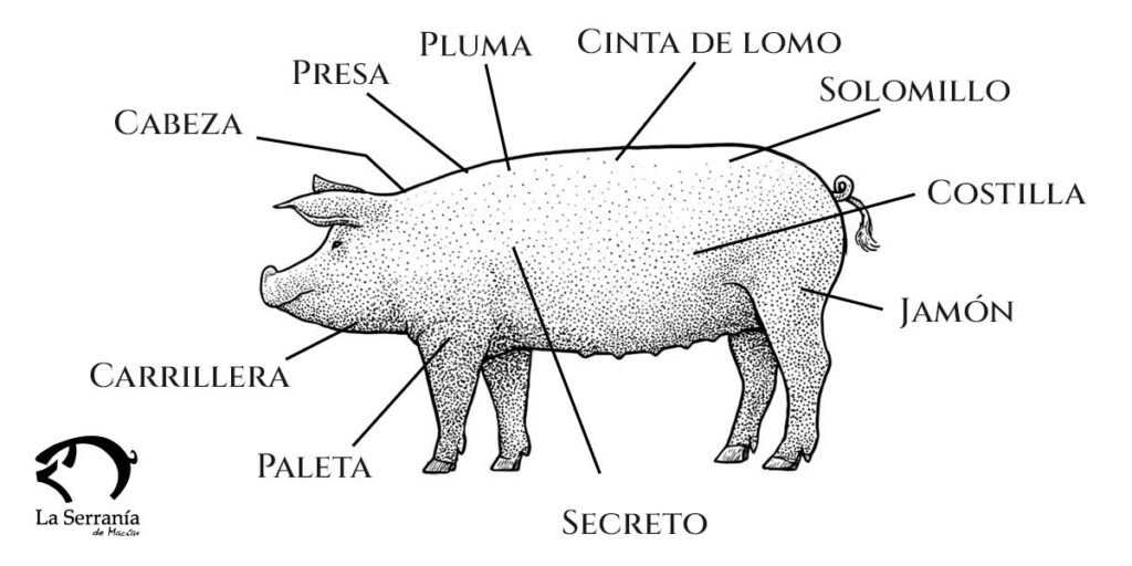 carne iberica